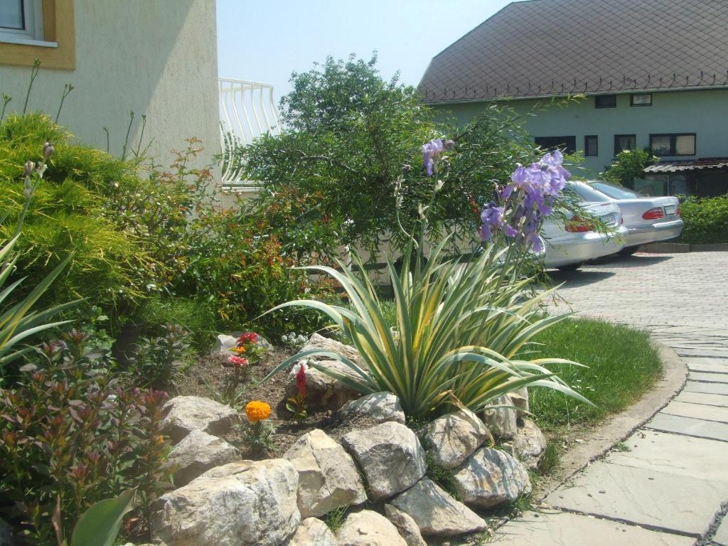 Flora Villa Hévíz Extérieur photo